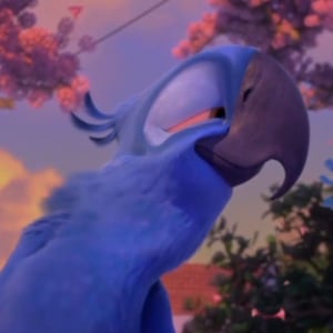 This is the Avatar Image for the Blu (Rio) AI Voice and Text to Speech Generator